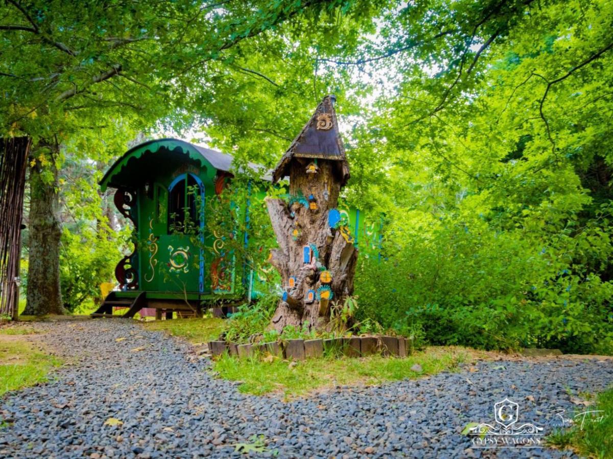 Gypsy Wagons And Vans, Clarens Kamer foto